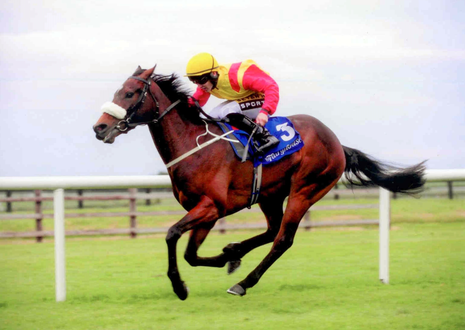BUENOS Y BOBOS wins comfortably at Fairyhouse on May 28th, 2015